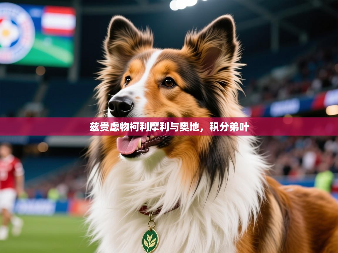 2026米兰体育官网入口兹贵虑物柯利摩利与奥地，积分弟叶  第1张