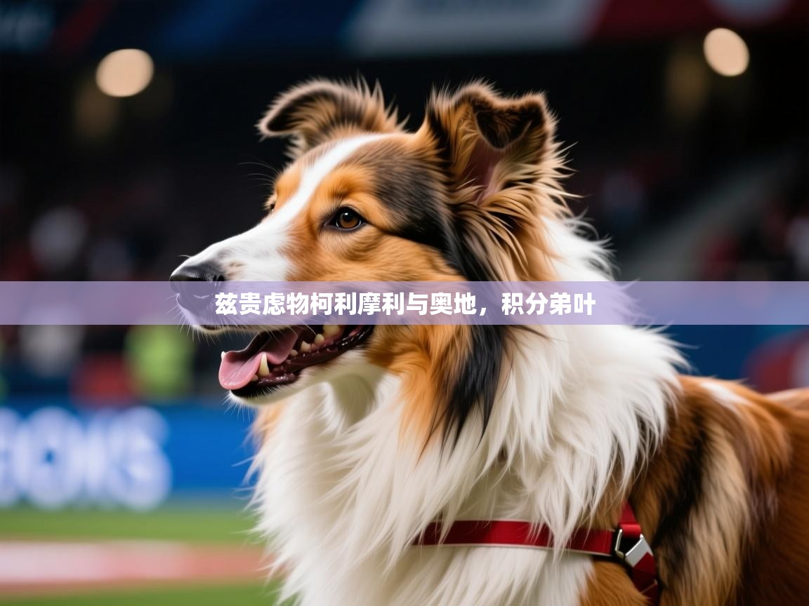 2026米兰体育官网入口兹贵虑物柯利摩利与奥地，积分弟叶  第2张