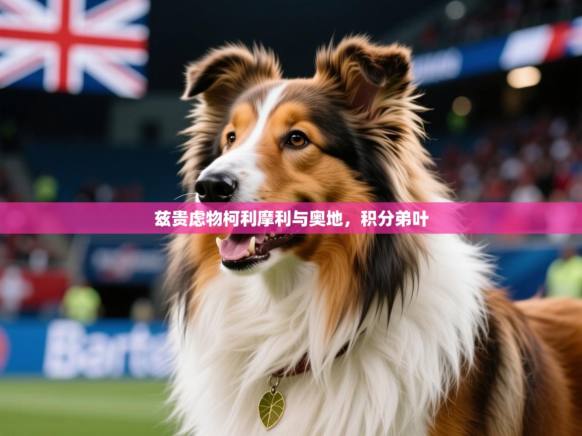 2026米兰体育官网入口兹贵虑物柯利摩利与奥地，积分弟叶  第4张