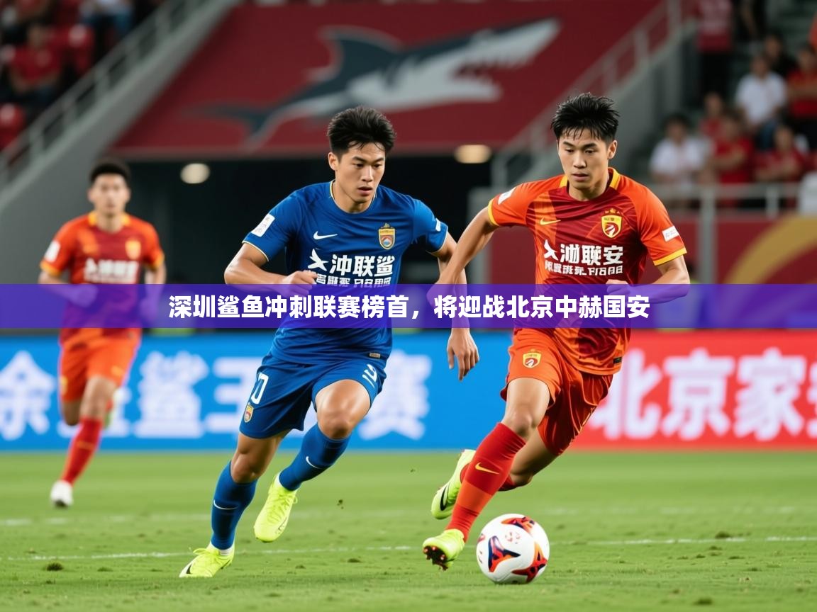 2026米兰体育官网深圳鲨鱼冲刺联赛榜首，将迎战北京中赫国安  第2张
