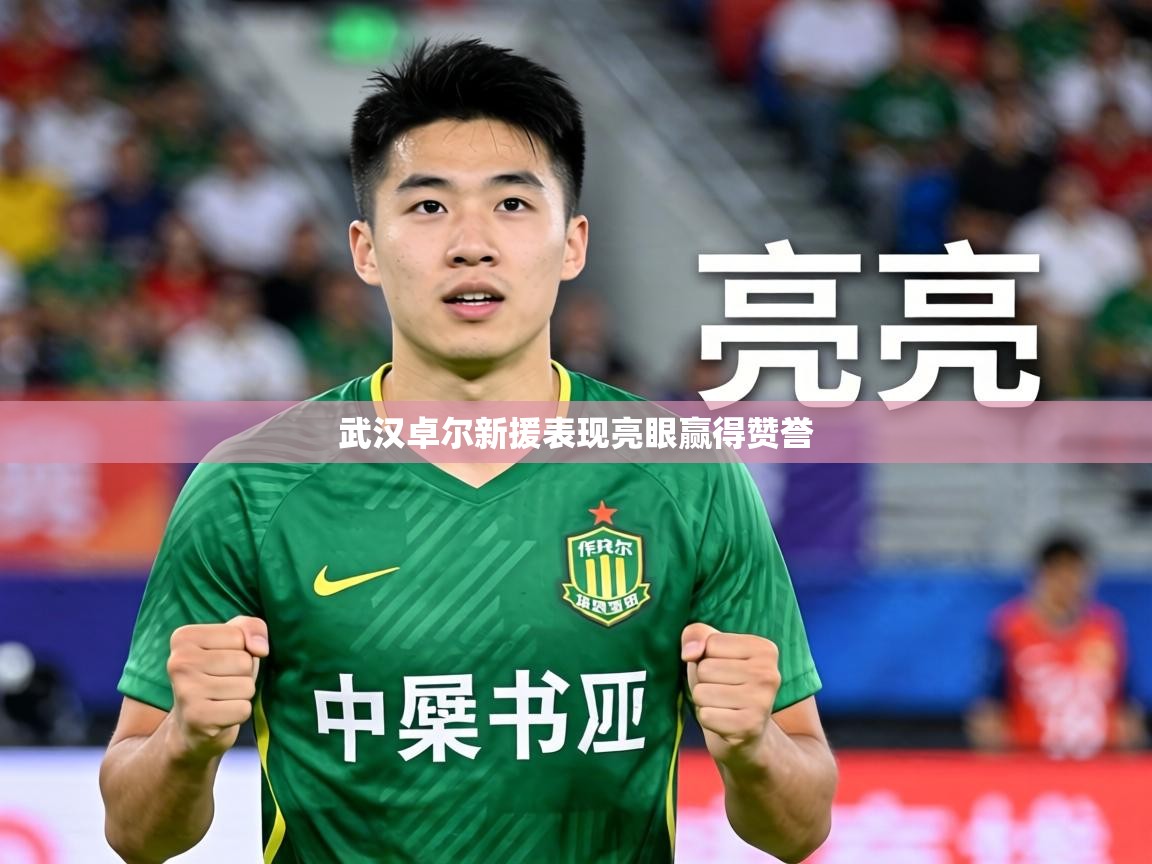 2026米兰体育官网网页版武汉卓尔新援表现亮眼赢得赞誉  第3张
